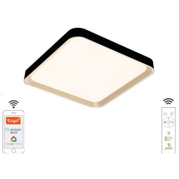 LED Dimbar taklampa LED/48W/230V 2700-6500K Wi-Fi Tuya + fjärrkontroll