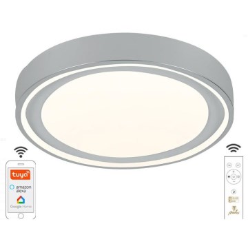 LED Dimbar taklampa LED/48W/230V 2700-6500K Wi-Fi Tuya + fjärrkontroll