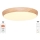 LED Dimbar taklampa LED/48W/230V 2700-6500K Wi-Fi Tuya + fjärrkontroll