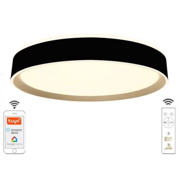 LED Dimbar taklampa LED/48W/230V 2700-6500K Wi-Fi Tuya + RC