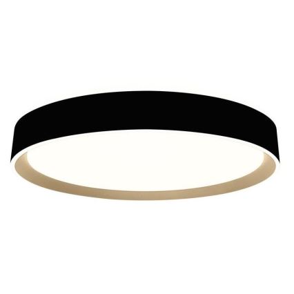 LED Dimbar taklampa LED/48W/230V 2700-6500K Wi-Fi Tuya + RC