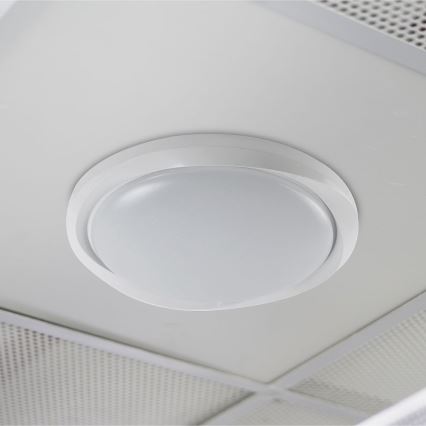 LED Dimbar taklampa LED/60W/230V 3000-6500K 49,2 cm vit + fjärrkontroll