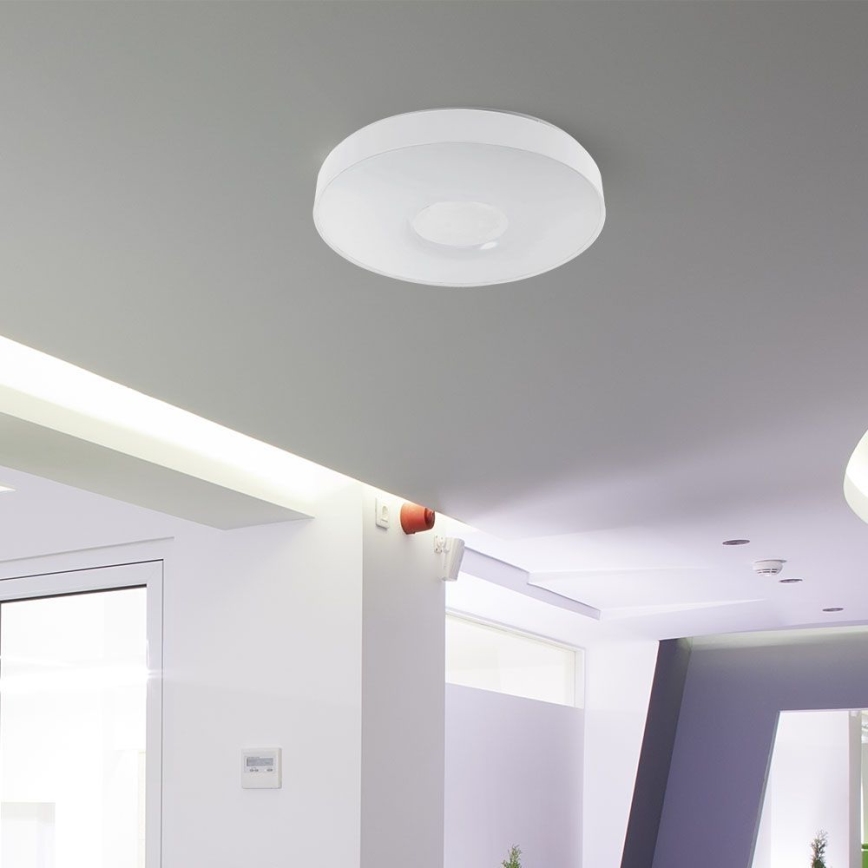 LED Dimbar taklampa LED/60W/230V 3000-6500K 49,5 cm vit + fjärrkontroll