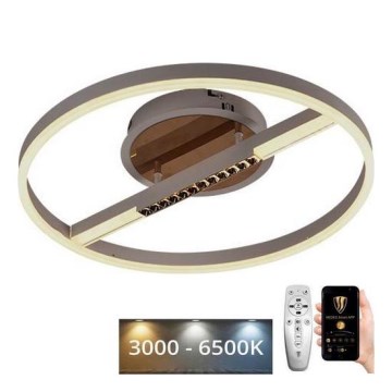 LED Dimbar taklampa LED/60W/230V 3000-6500K + fjärrkontroll