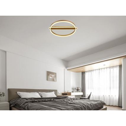 LED dimbar taklampa LED/60W/230V 3000-6500K + fjärrkontroll