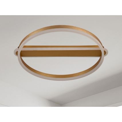 LED dimbar taklampa LED/60W/230V 3000-6500K + fjärrkontroll