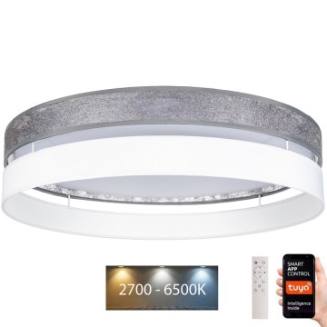 LED Dimbar taklampa LIMA LED/36W/230V 2700-6500K Wi-Fi Tuya + fjärrkontroll silver/vit