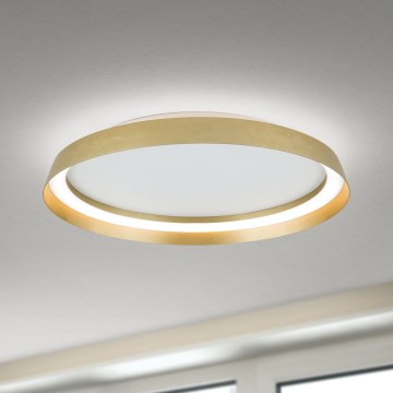 LED Dimbar taklampa MANTA LED/38W/230V 2700/3000/4000K diameter 45 cm guld