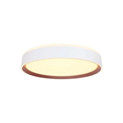 LED Dimbar taklampa med röststyrning OPAL LED/48W/230V 2700-6500K vit + fjärrkontroll