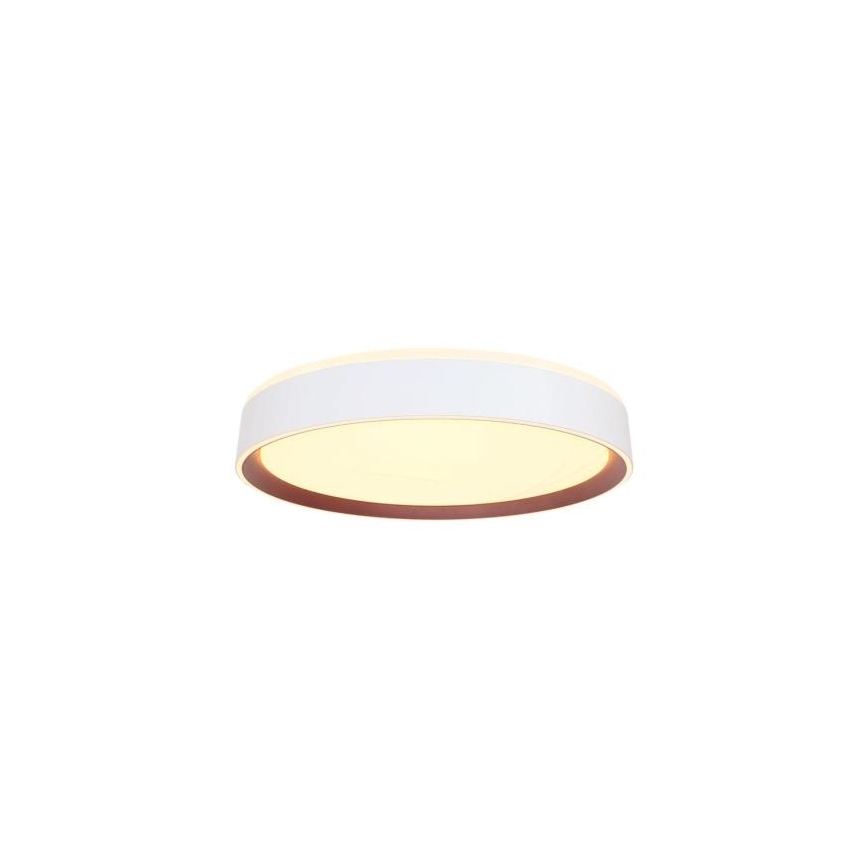 LED Dimbar taklampa med röststyrning OPAL LED/48W/230V 2700-6500K vit + fjärrkontroll