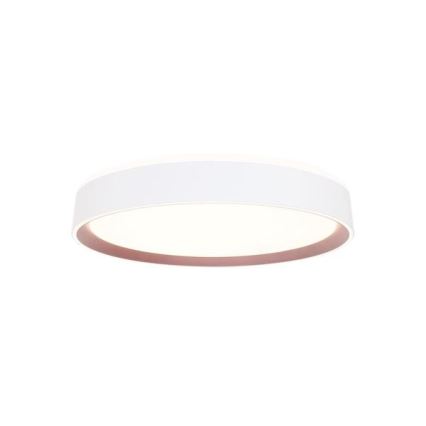 LED Dimbar taklampa med röststyrning OPAL LED/48W/230V 2700-6500K vit + fjärrkontroll