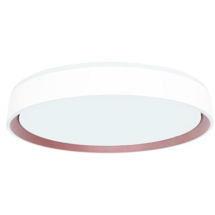 LED Dimbar taklampa med röststyrning OPAL LED/48W/230V 2700-6500K vit + fjärrkontroll