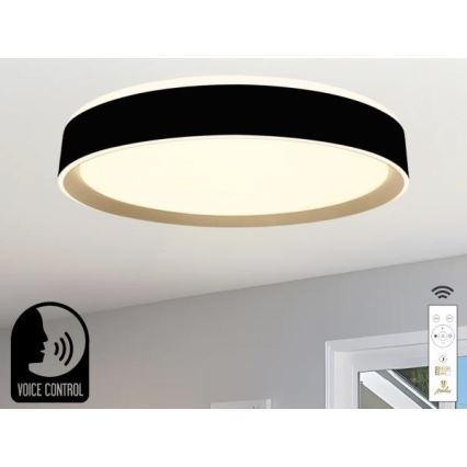 LED Dimbar taklampa med röststyrning OPAL LED/48W/230V 2700-6500K svart + fjärrkontroll