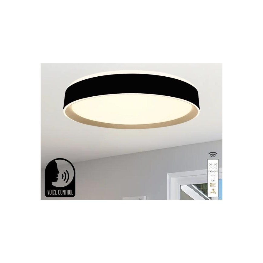 LED Dimbar taklampa med röststyrning OPAL LED/48W/230V 2700-6500K svart + fjärrkontroll