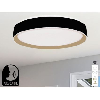LED Dimbar taklampa med röststyrning OPAL LED/48W/230V 2700-6500K svart + fjärrkontroll