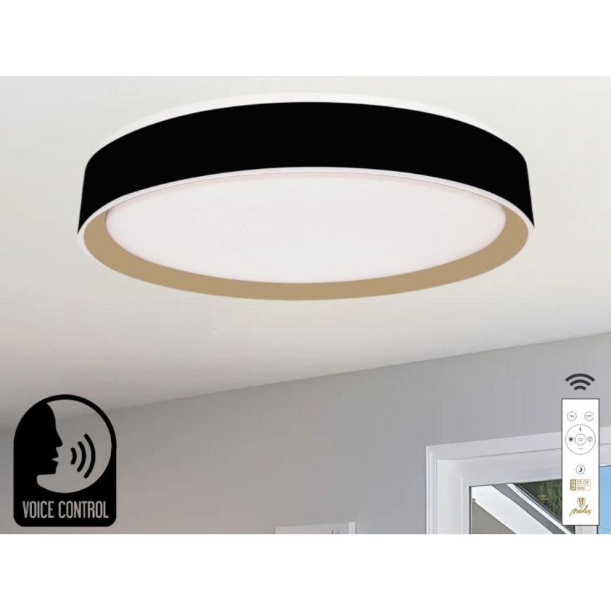 LED Dimbar taklampa med röststyrning OPAL LED/48W/230V 2700-6500K svart + fjärrkontroll