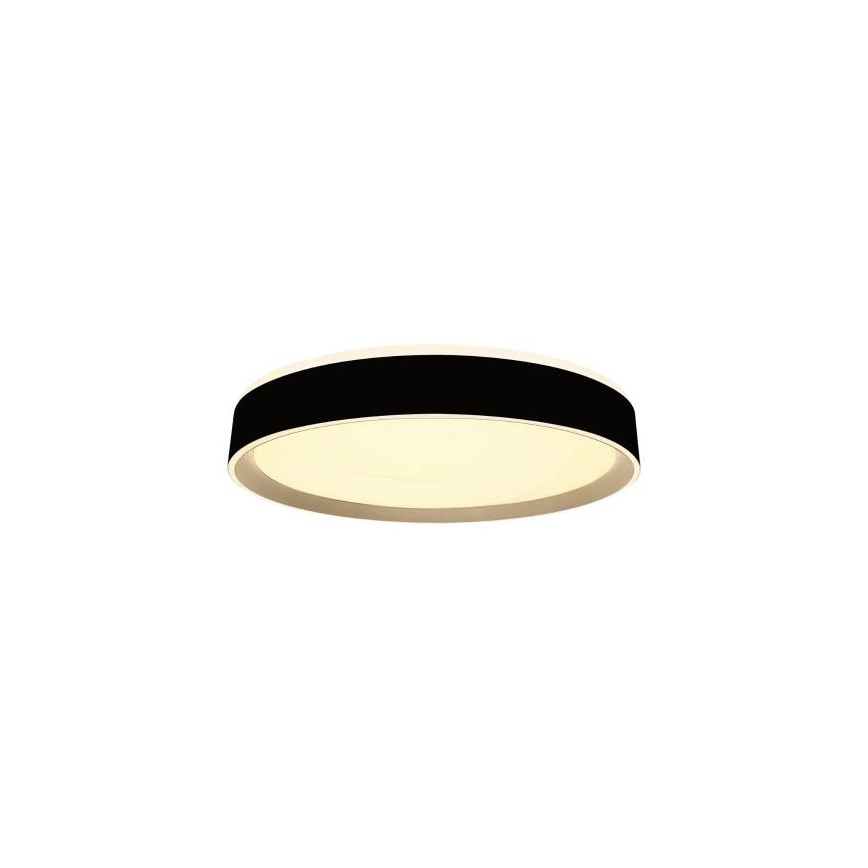 LED Dimbar taklampa med röststyrning OPAL LED/48W/230V 2700-6500K svart + fjärrkontroll