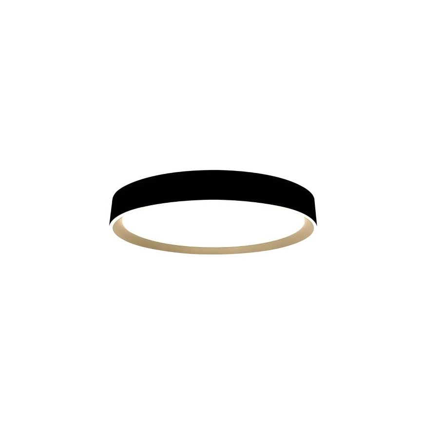 LED Dimbar taklampa med röststyrning OPAL LED/48W/230V 2700-6500K svart + fjärrkontroll