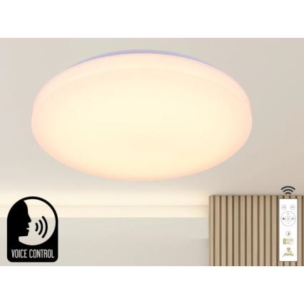 LED Dimbar taklampa med röststyrning OPAL LED/48W/230V 2700-6500K vit + fjärrkontroll