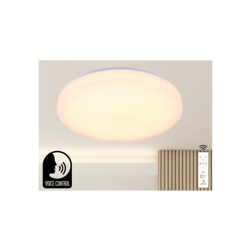 LED Dimbar taklampa med röststyrning OPAL LED/48W/230V 2700-6500K vit + fjärrkontroll