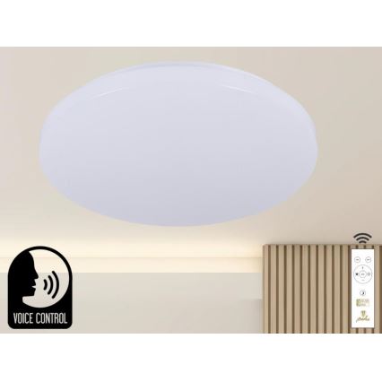 LED Dimbar taklampa med röststyrning OPAL LED/48W/230V 2700-6500K vit + fjärrkontroll