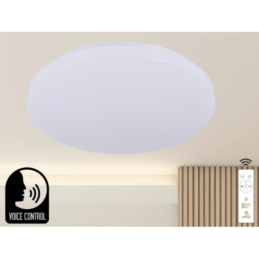LED Dimbar taklampa med röststyrning OPAL LED/48W/230V 2700-6500K vit + fjärrkontroll