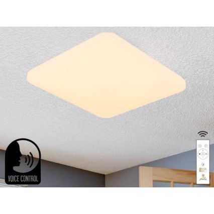 LED Dimbar taklampa med röststyrning OPAL LED/48W/230V 2700-6500K vit + fjärrkontroll