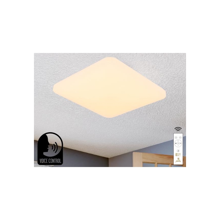 LED Dimbar taklampa med röststyrning OPAL LED/48W/230V 2700-6500K vit + fjärrkontroll