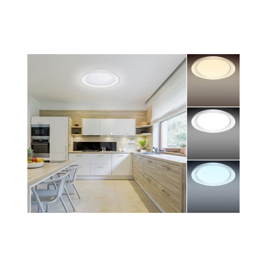 LED Dimbar taklampa OPAL LED/24W/230V + fjärrkontroll
