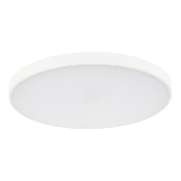 LED Dimbar taklampa PLAFON LED/20W/230V 3000-6500K Wi-Fi vit