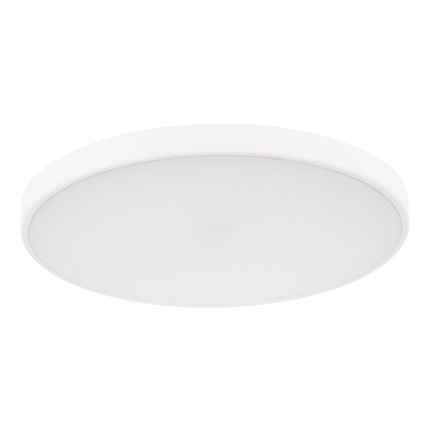 LED Dimbar taklampa PLAFON LED/20W/230V 3000-6500K Wi-Fi vit