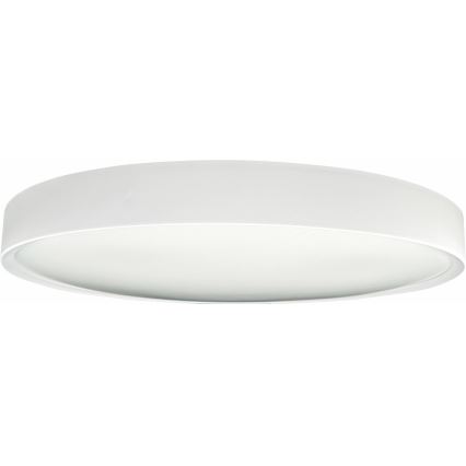 LED Dimbar taklampa SAMER LED/40W/230V 2900-6000K + fjärrkontroll