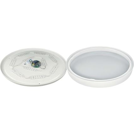 LED Dimbar taklampa SAMER LED/40W/230V 2900-6000K + fjärrkontroll