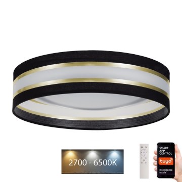 LED Dimbar taklampa SMART CORAL LED/24W/230V Wi-Fi Tuya svart + fjärrkontroll
