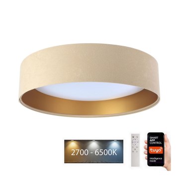 LED Dimbar taklampa SMART GALAXY LED/24W/230V diameter 45 cm 2700-6500K Wi-Fi Tuya beige/gyllene + fjärrkontroll