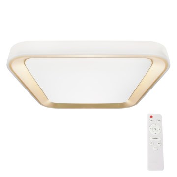 LED Dimbart takarmatur QUADRO LED/38W/230V 3000-6000K vit/guld + fjärrkontroll