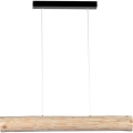 LED Dimbart taklampa LUCAS LED/25,5W/230V tall