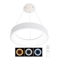 LED Dimbart taklampa NEST LED/40W/230V 3000-6500K vit + fjärrkontroll