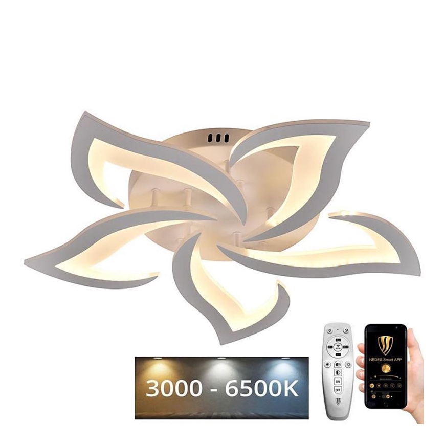 LED Dimbart takmonterat takarmatur LED/55W/230V 3000-6500K + fjärrkontroll