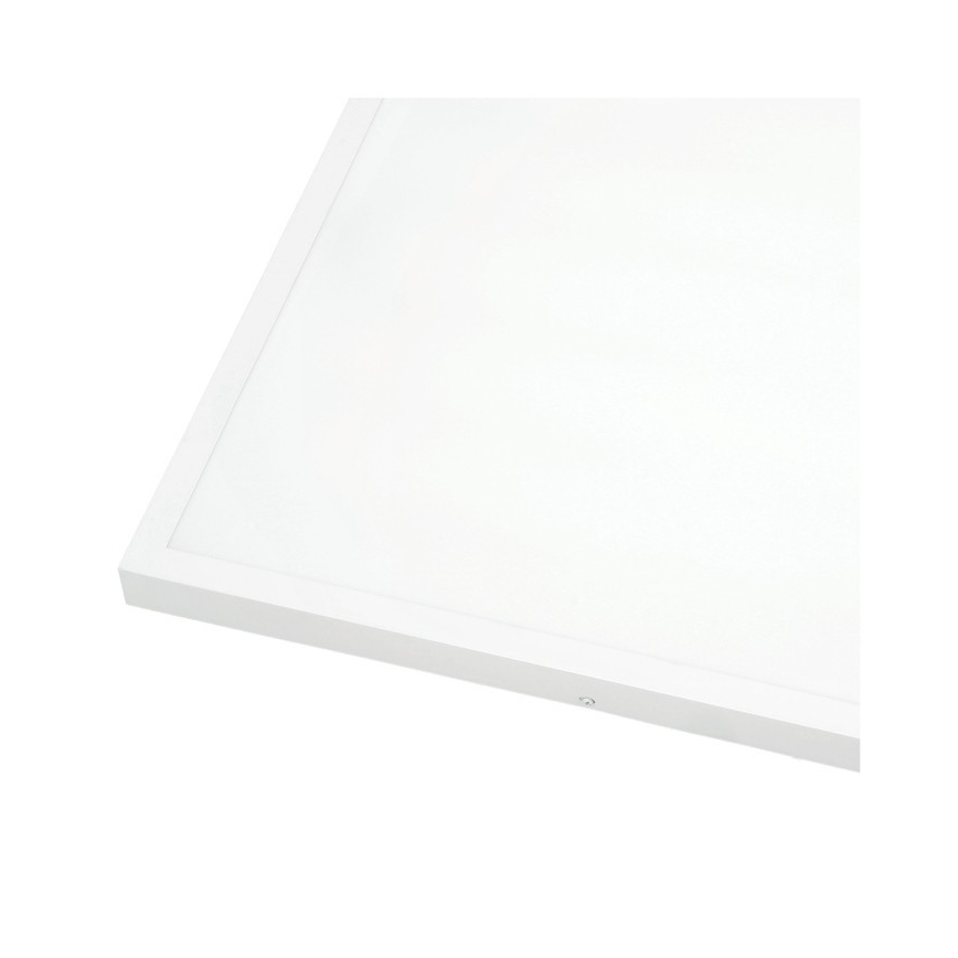 LED fäst panel BRISBANE LED/36W/230V 4000K 59,5x59,5 cm vit
