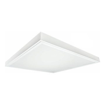 LED fäst panel ILLY LED/46W/230V