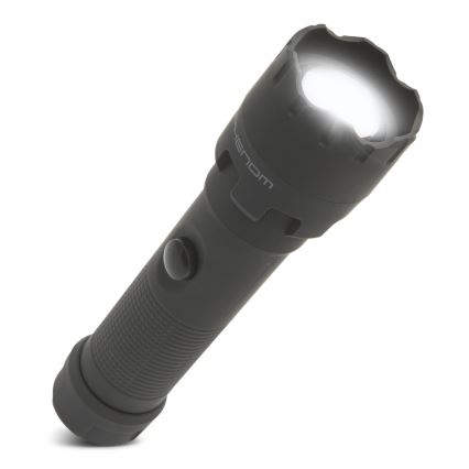 LED Fick lampa  LED/4xAAA IP54