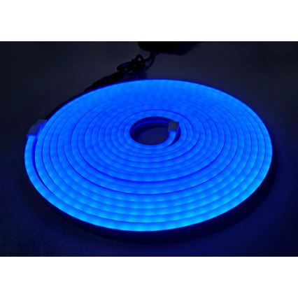 LED Flexibel list NEON LED/10W/230V 5 m IP65 blå