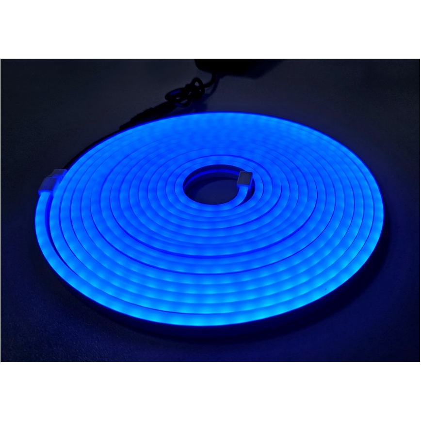 LED Flexibel list NEON LED/10W/230V 5 m IP65 blå