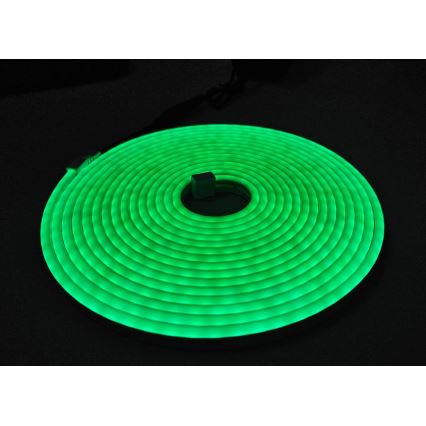 LED Flexibel list NEON LED/10W/230V 5 m IP65 grön