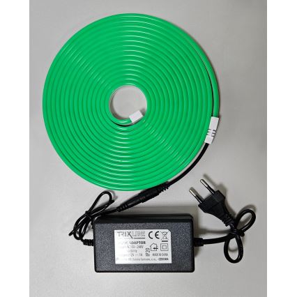LED Flexibel list NEON LED/10W/230V 5 m IP65 grön