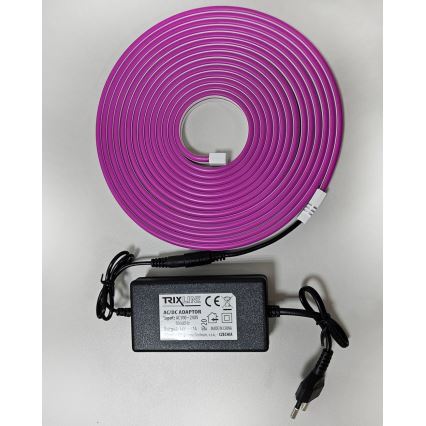 LED Flexibel list NEON LED/10W/230V 5 m IP65 lila