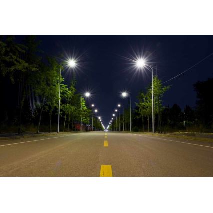 LED gatulampa BOSTON LED/35W/230V IP65