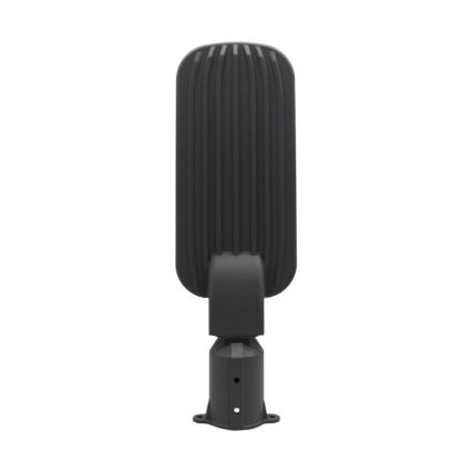 LED gatulampa BRELUXO LED/100W/230V 4000K IP65