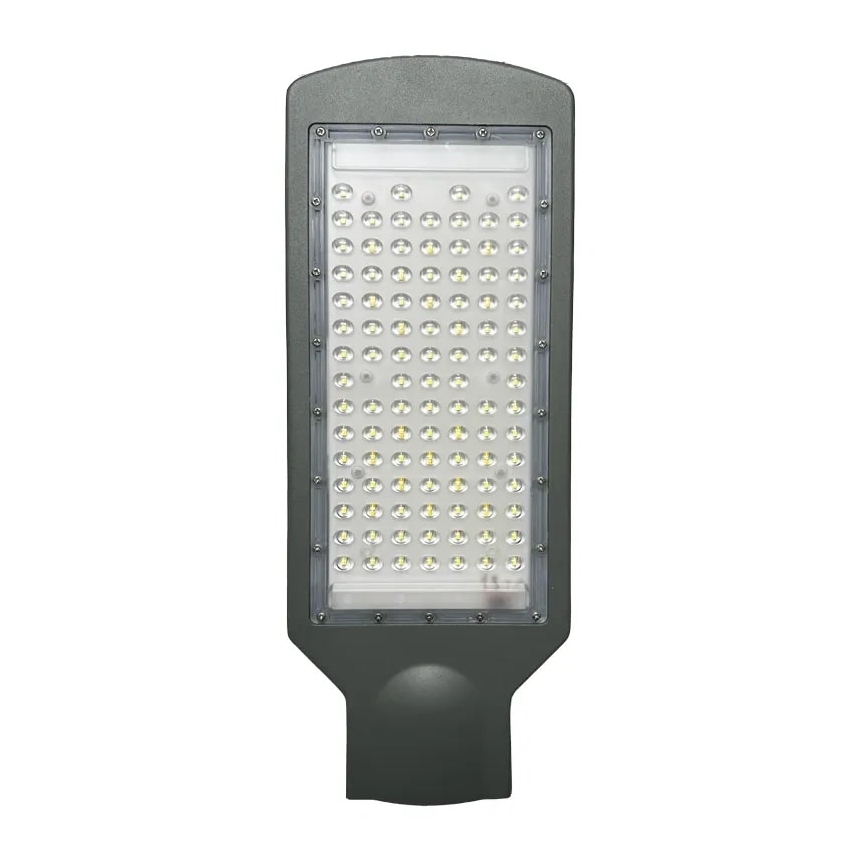 LED gatulampa LED/100W/170-400V IP65